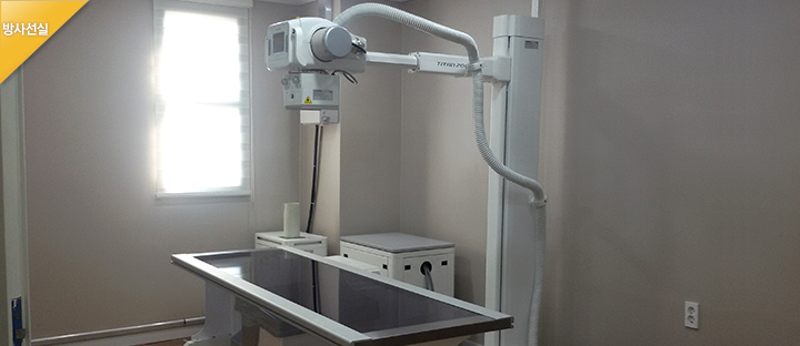 jeju 갤러리 이미지 2